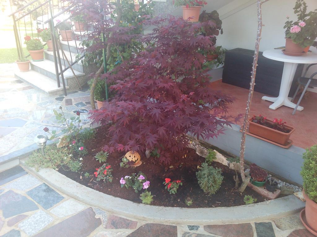 Apartment Gogo Umag Ngoại thất bức ảnh
